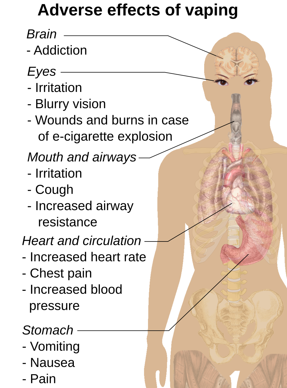 Health effects of electronic cigarettes