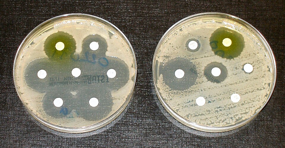 Antimicrobial resistance