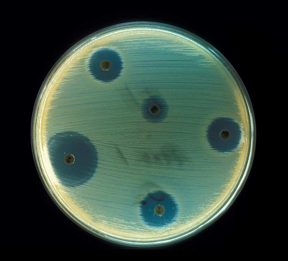 Antibiotic